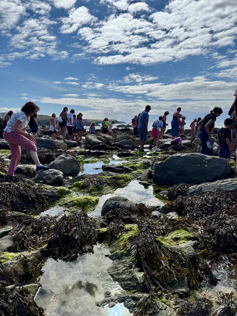 rock pool