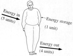 Figure Out Your Caloric and Macro-Nutrient Numbers for Success