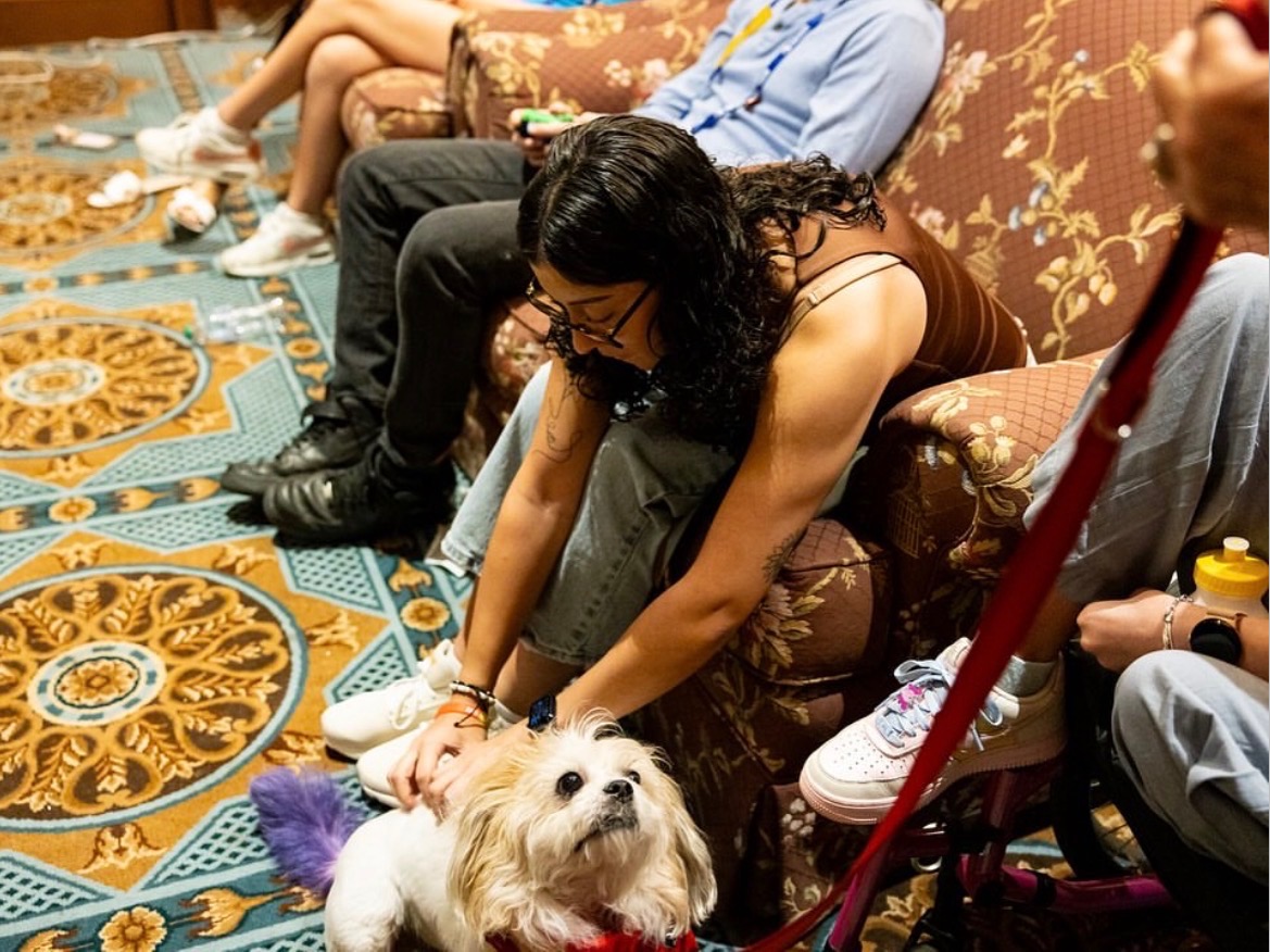 Spotlight on FACTOR HQ and Sammy Ulloa