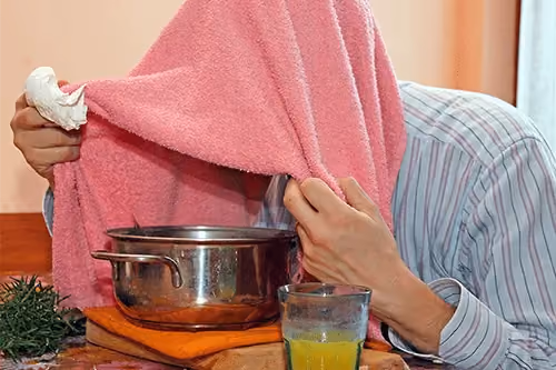 Natural Home Remedies for Sinus Infections