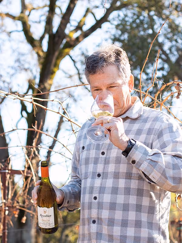 Charlie Tsegeletos smelling a glass of Rosenblum white wine while standing in front of trees and vines