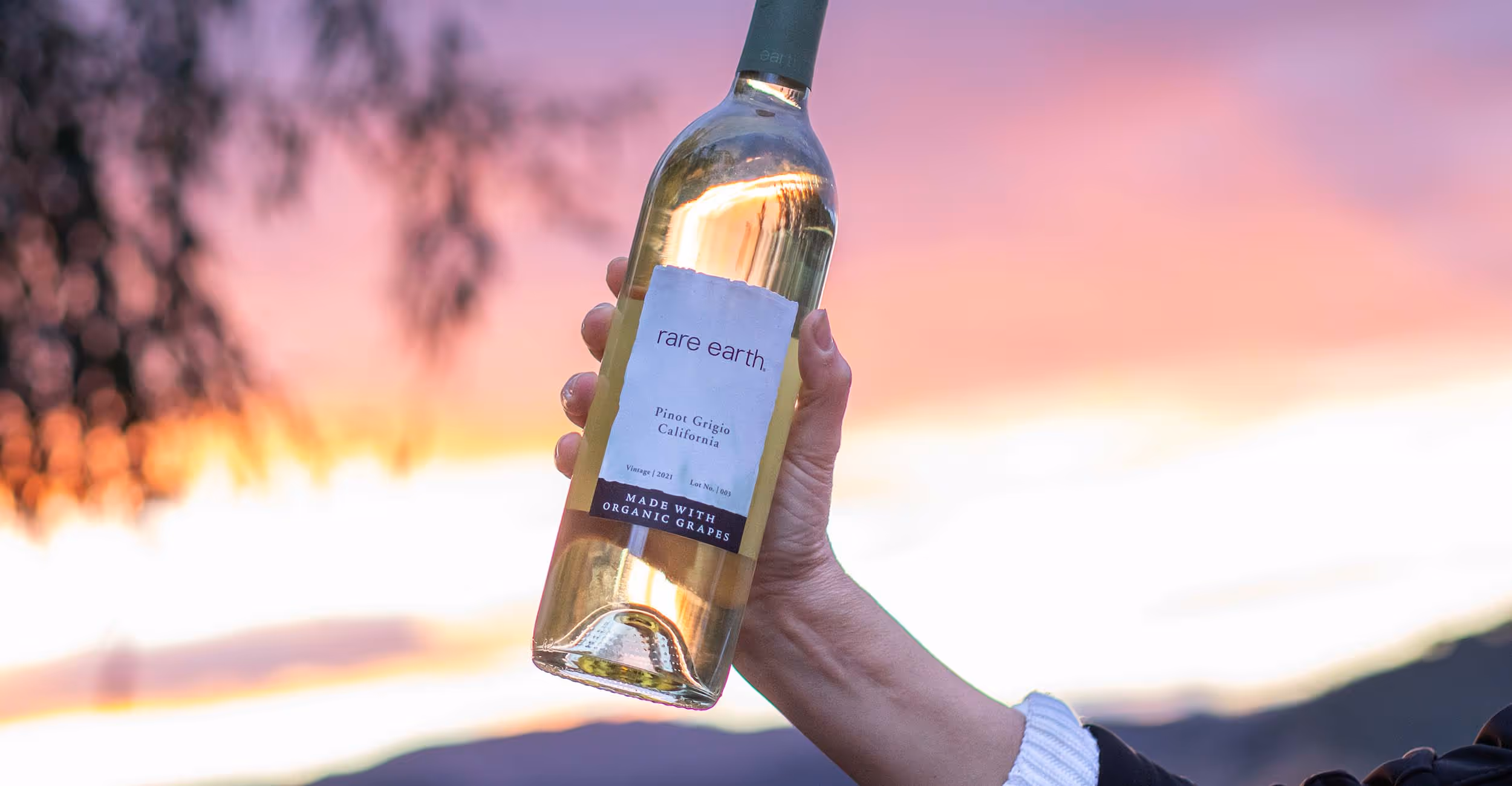 A hand holding a bottle of Rare Earth Pinot Grigio in front of a vibrant sunset