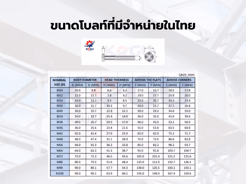 ขนาดโบลท์ที่มีจำหน่ายในไทย