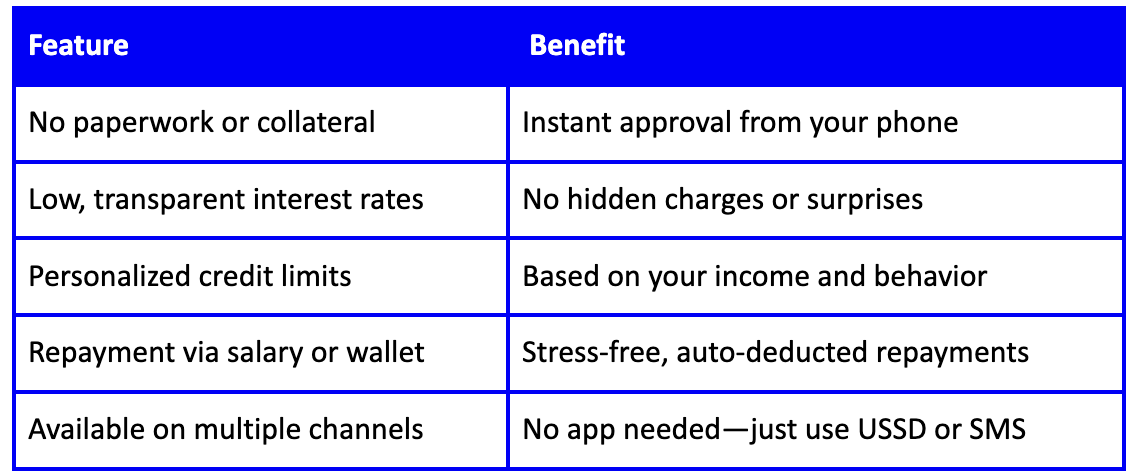 Online Loans for Salary Earners in Nigeria