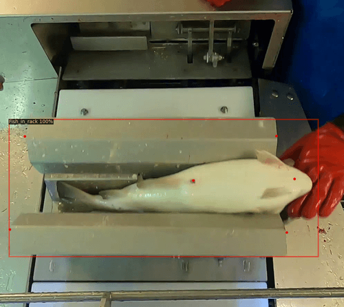 Detection of points on a fish for optimal cutting using deep learning