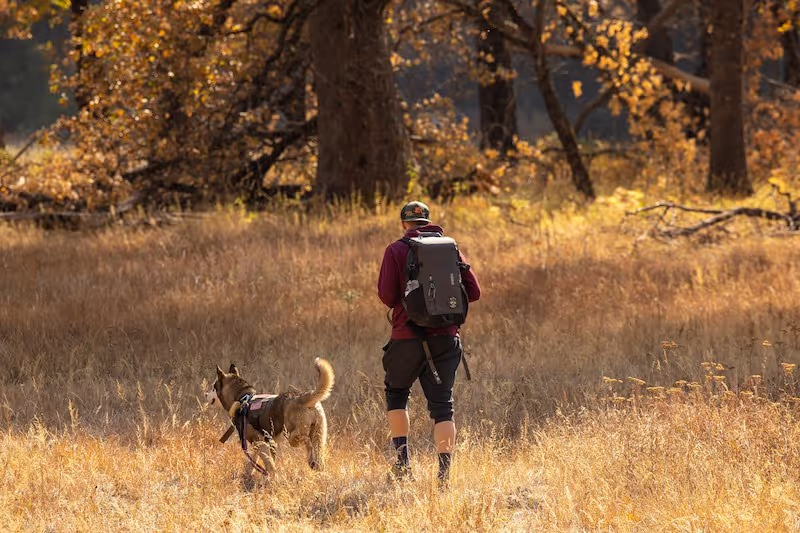 A dog and owner side-by-side on a hike