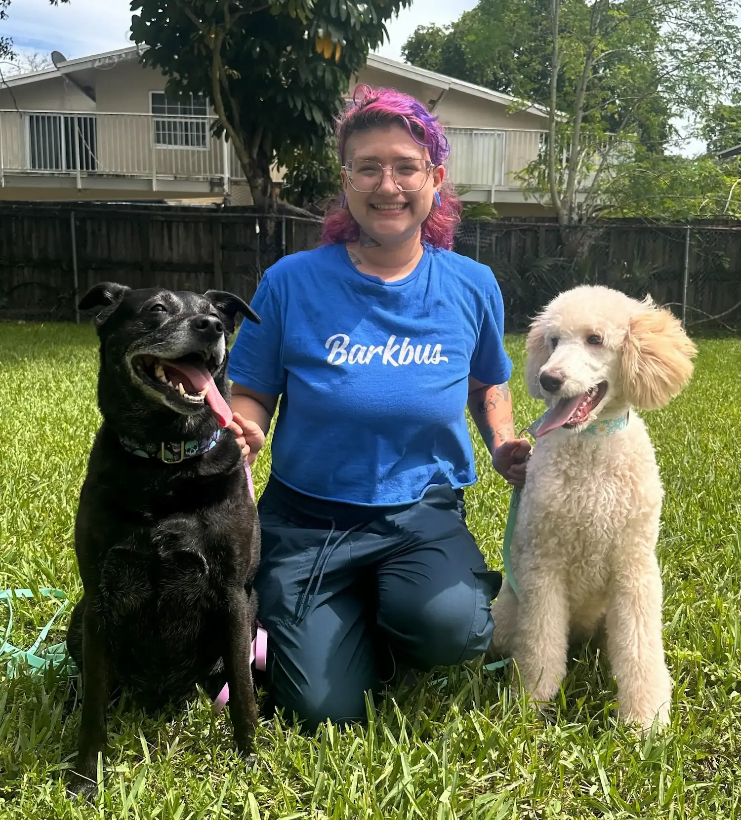 groomer with two dogs on the grass