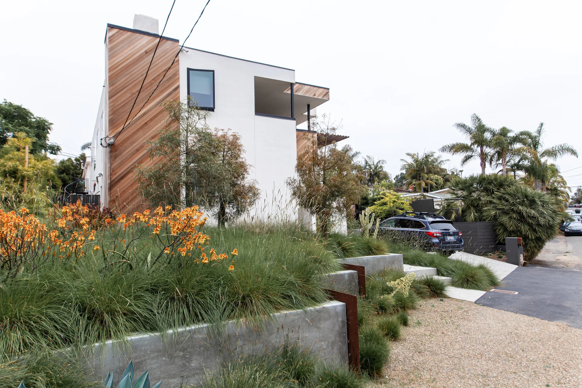 Modern two-story house with wood panel accents, surrounded by lush landscaping with tall grasses, orange flowers, and palm trees.