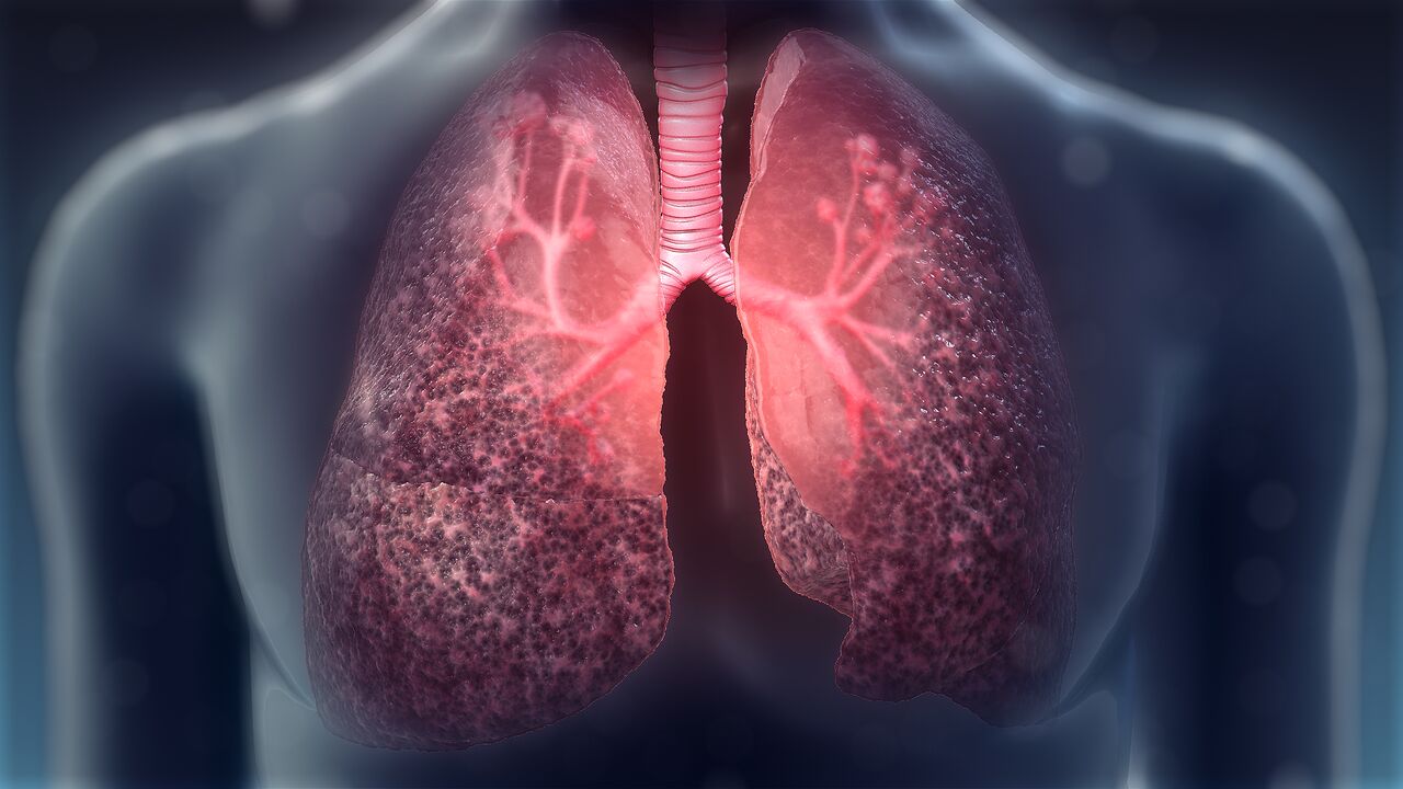 No mês de setembro é celebrado o dia da conscientização sobre a fibrose cística