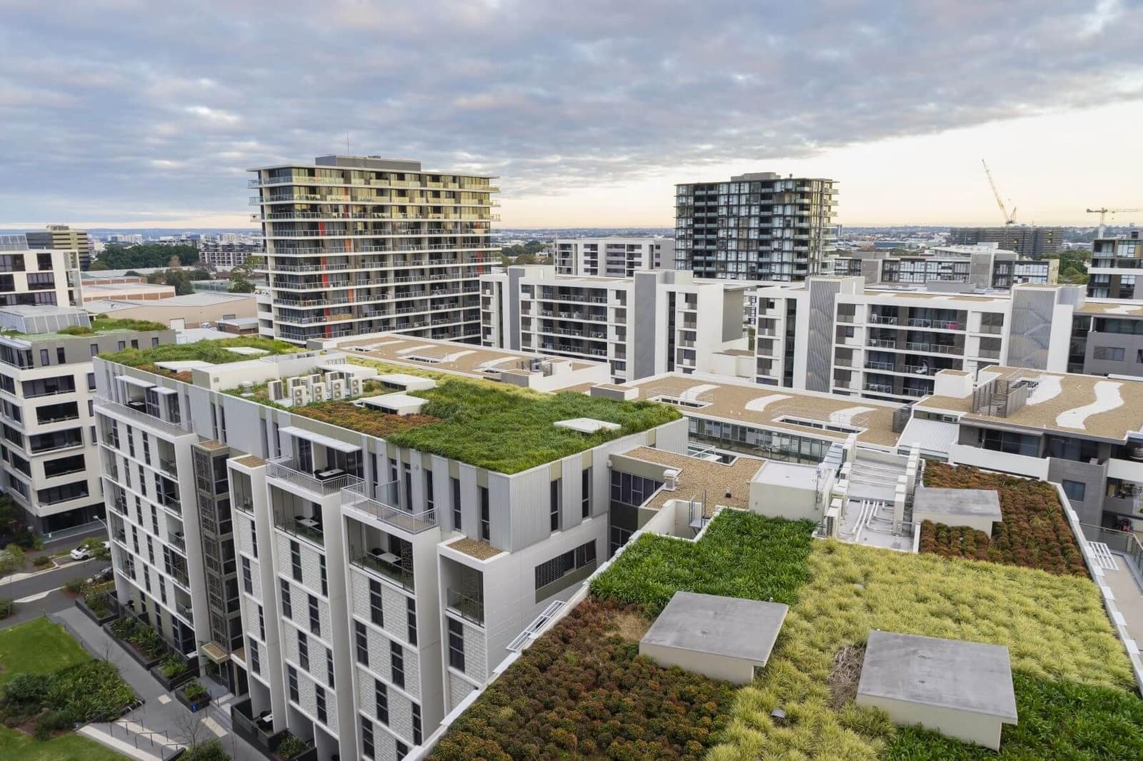 GR601 Green Roof | ScapeSpec NZ