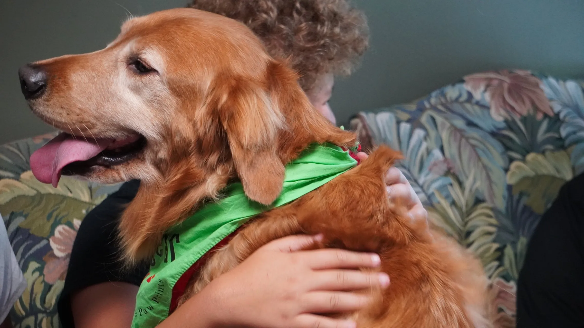 A cute little dog and a boy at First Baptist Church Indian Trail.