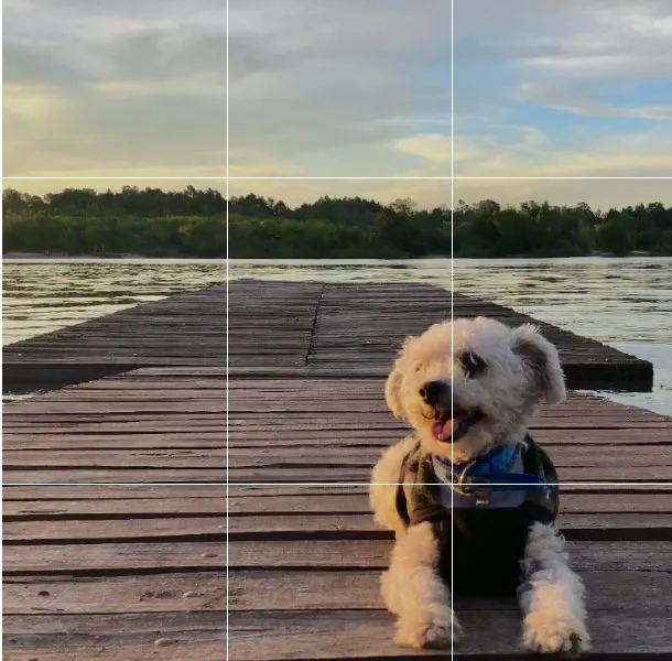 Using rule of thirds to make a high quality video
