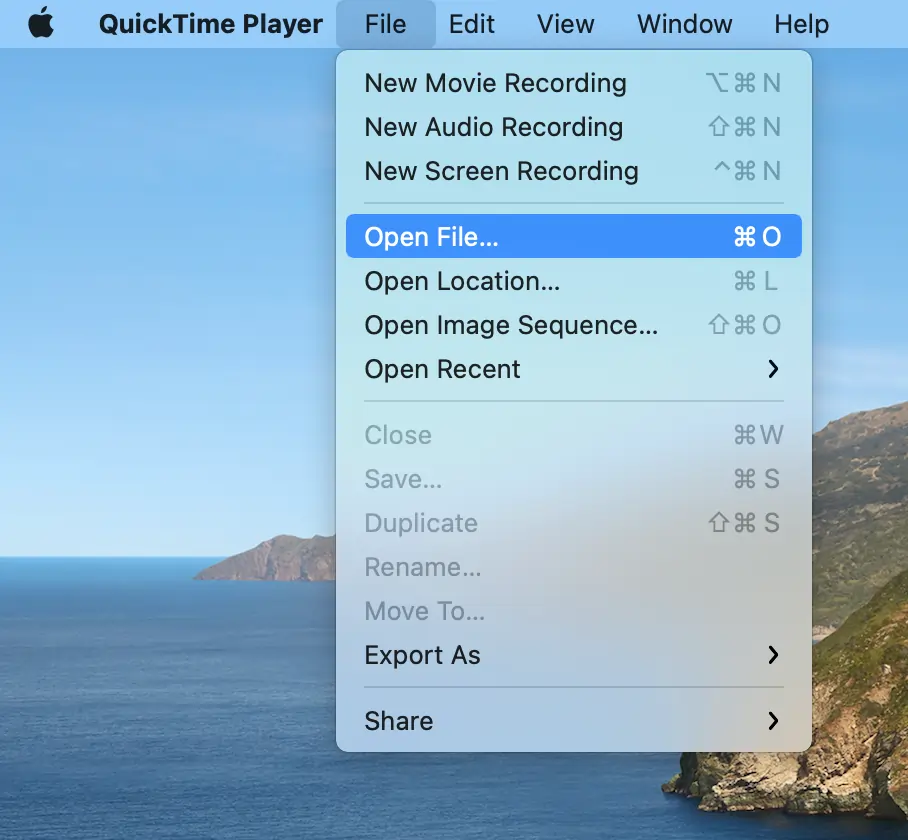 Opening a video file on Quicktime