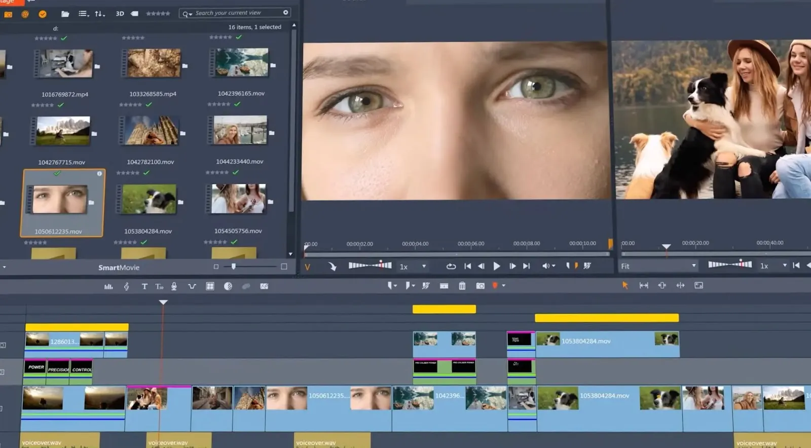 Pinnacle Studio Premiere Pro alternative