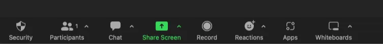 Recording button on Zoom