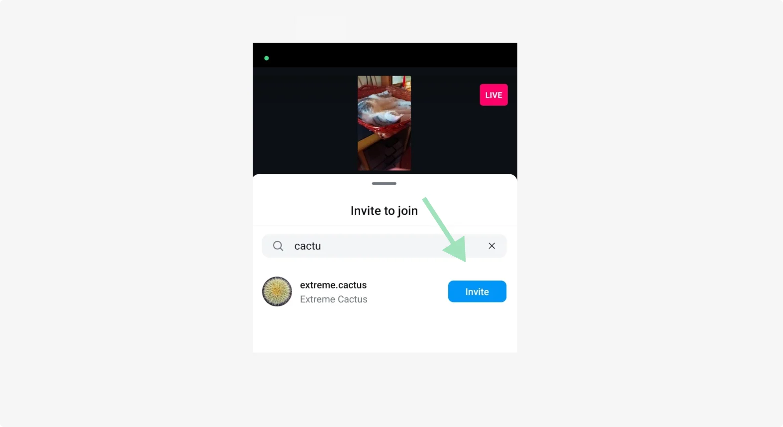 Inviting someone to an Instagram live
