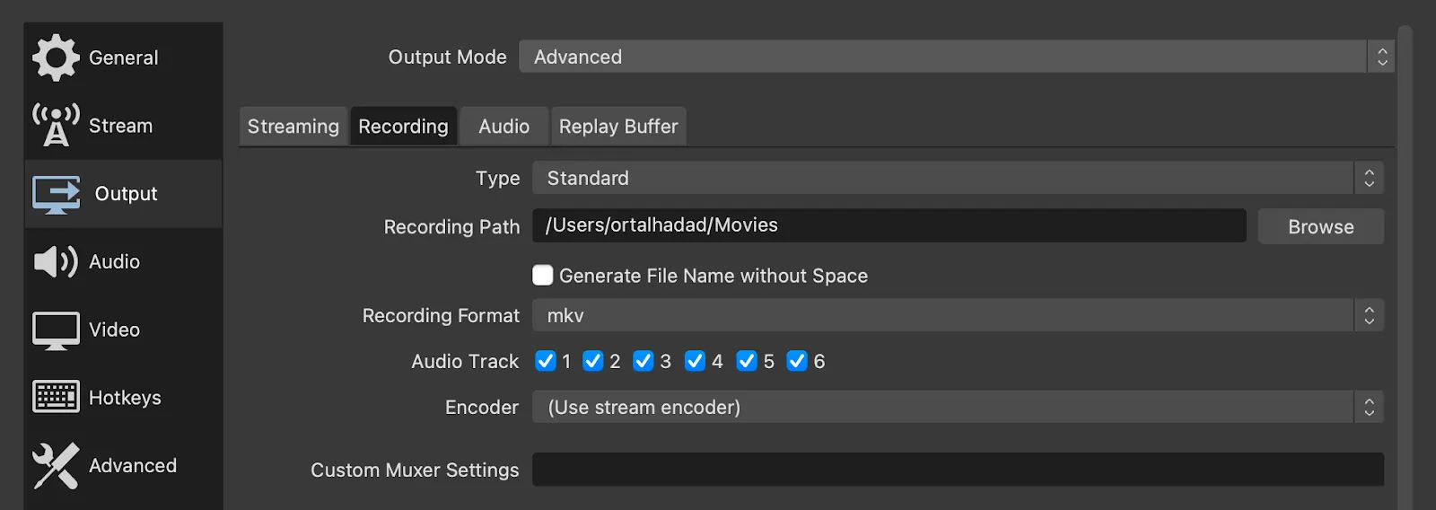 Separate audio tracks on OBS