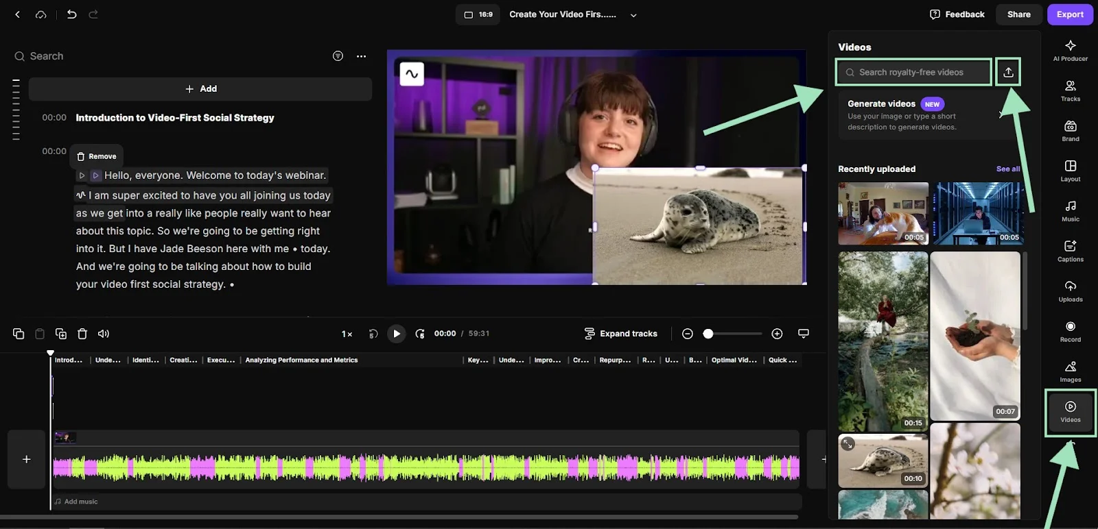 Riverside editor video tab
