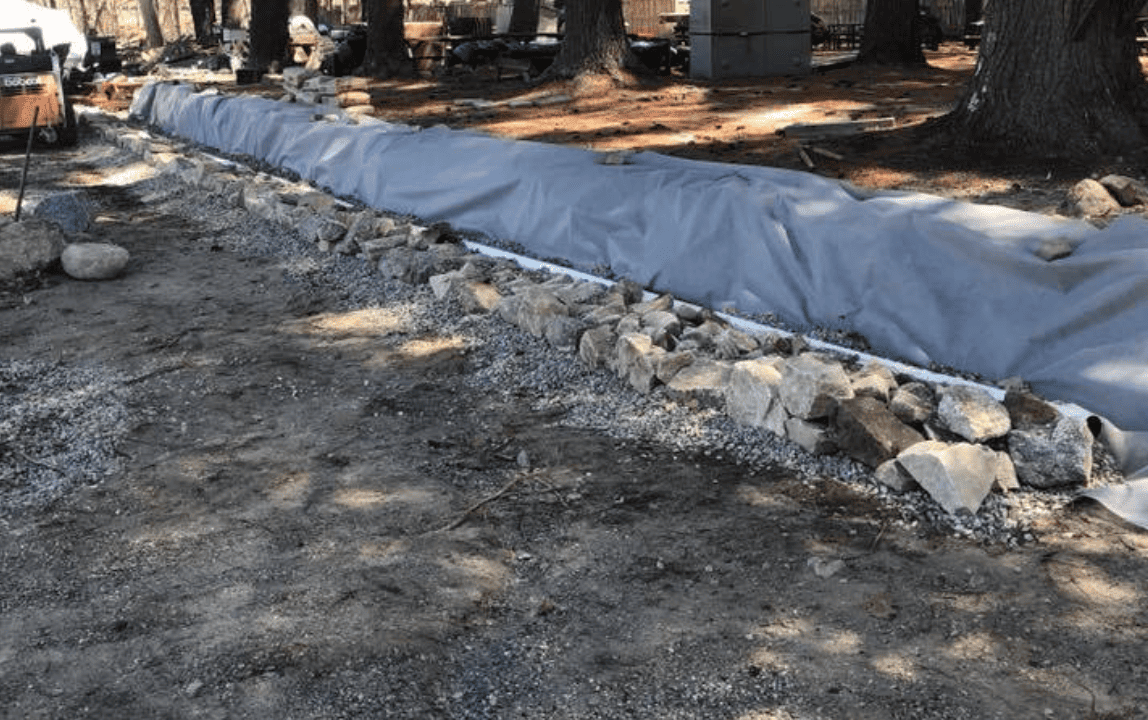 Back to School & Transition (1)