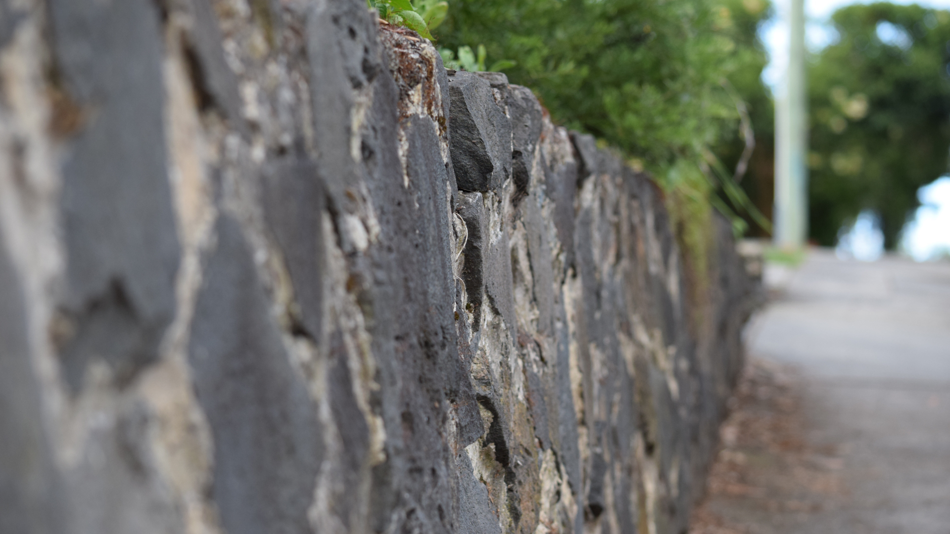 Old Retaining Wall 
