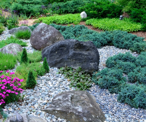 Rock Garden Featured Image