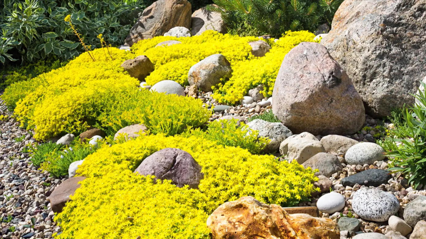 Rock Garden 01