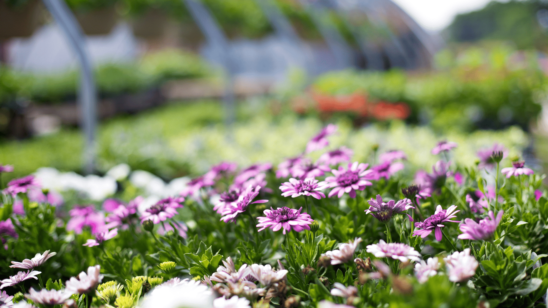 Finding the Nearest Landscape Supply Yards Near You in Connecticut