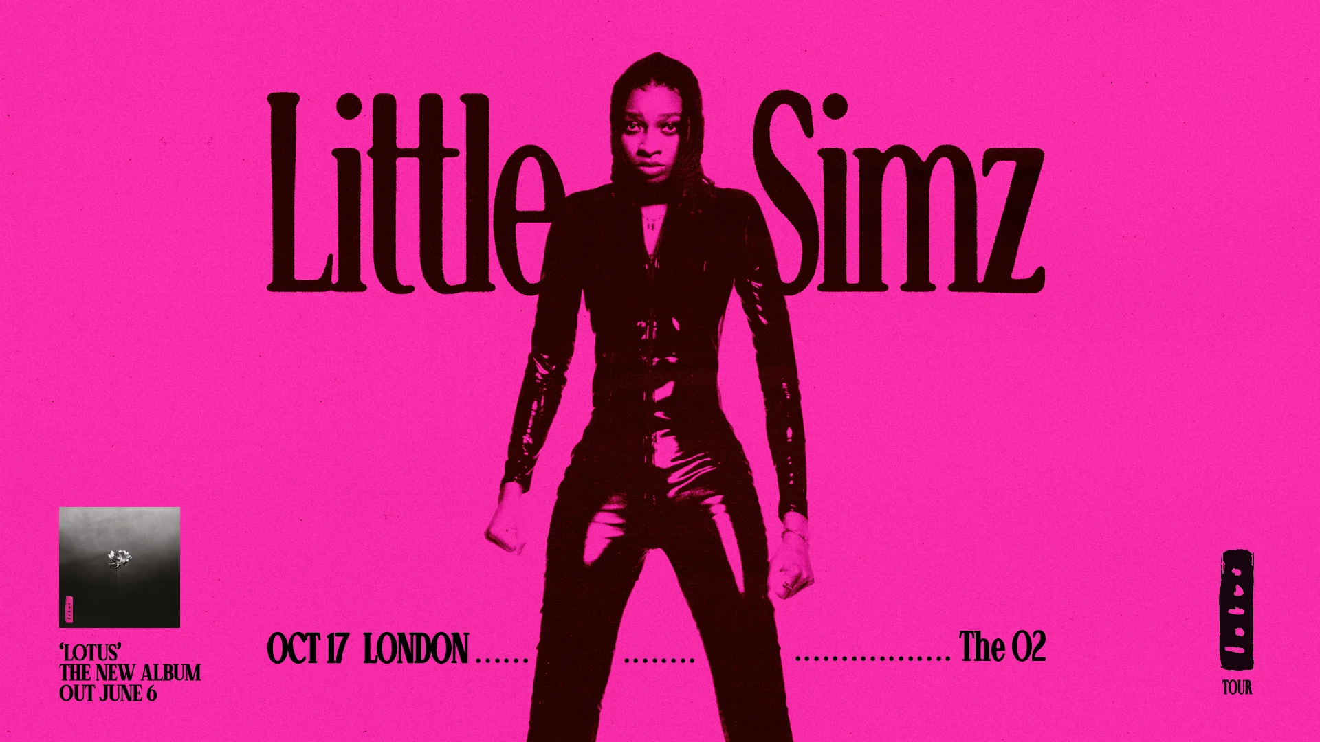 Little Simz