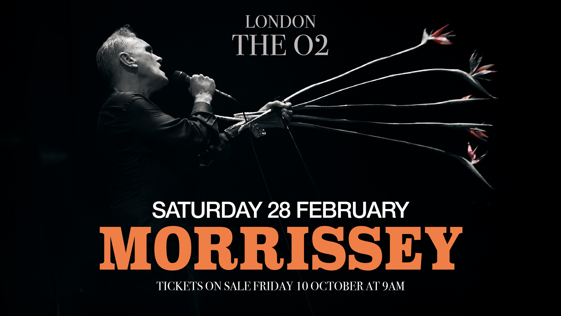Morrissey
