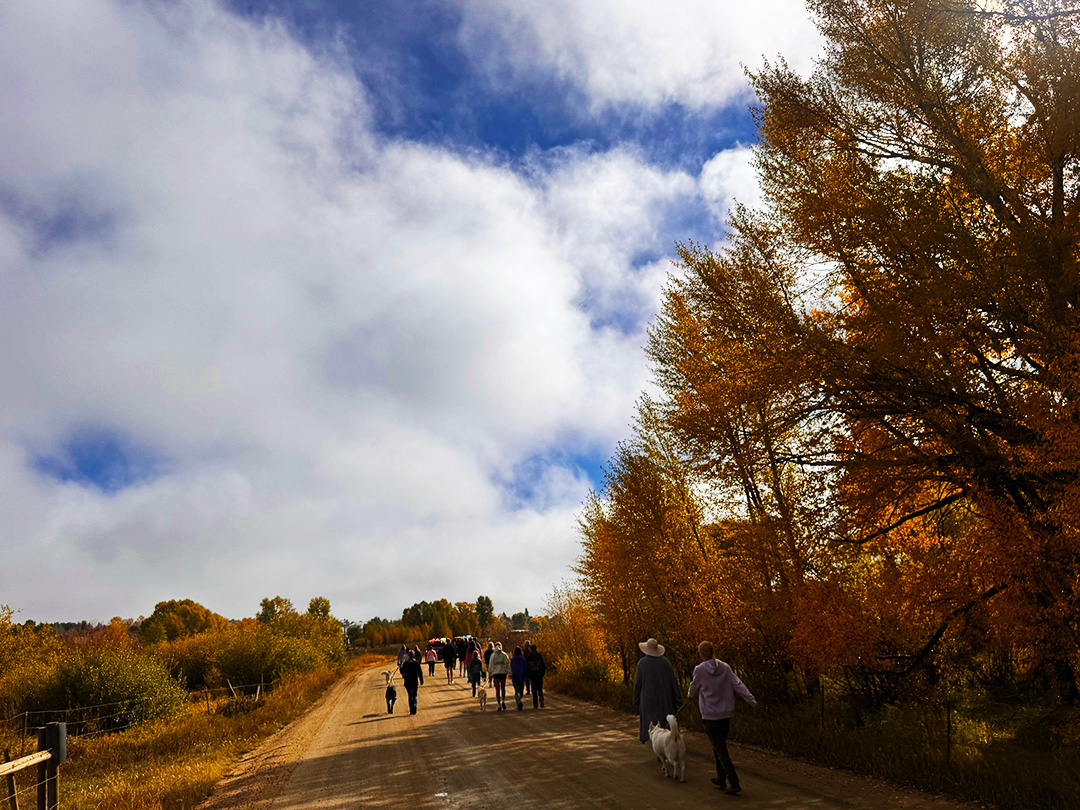 Grand County Animal Shelter walk symbolizes fresh new beginning