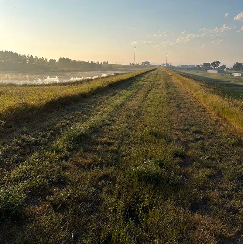 Watershed dam in Mott ND
