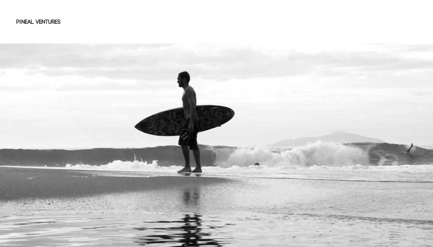 Pineal Ventures