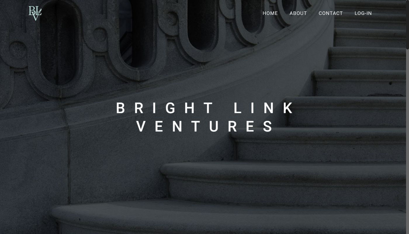 Bright Link Ventures