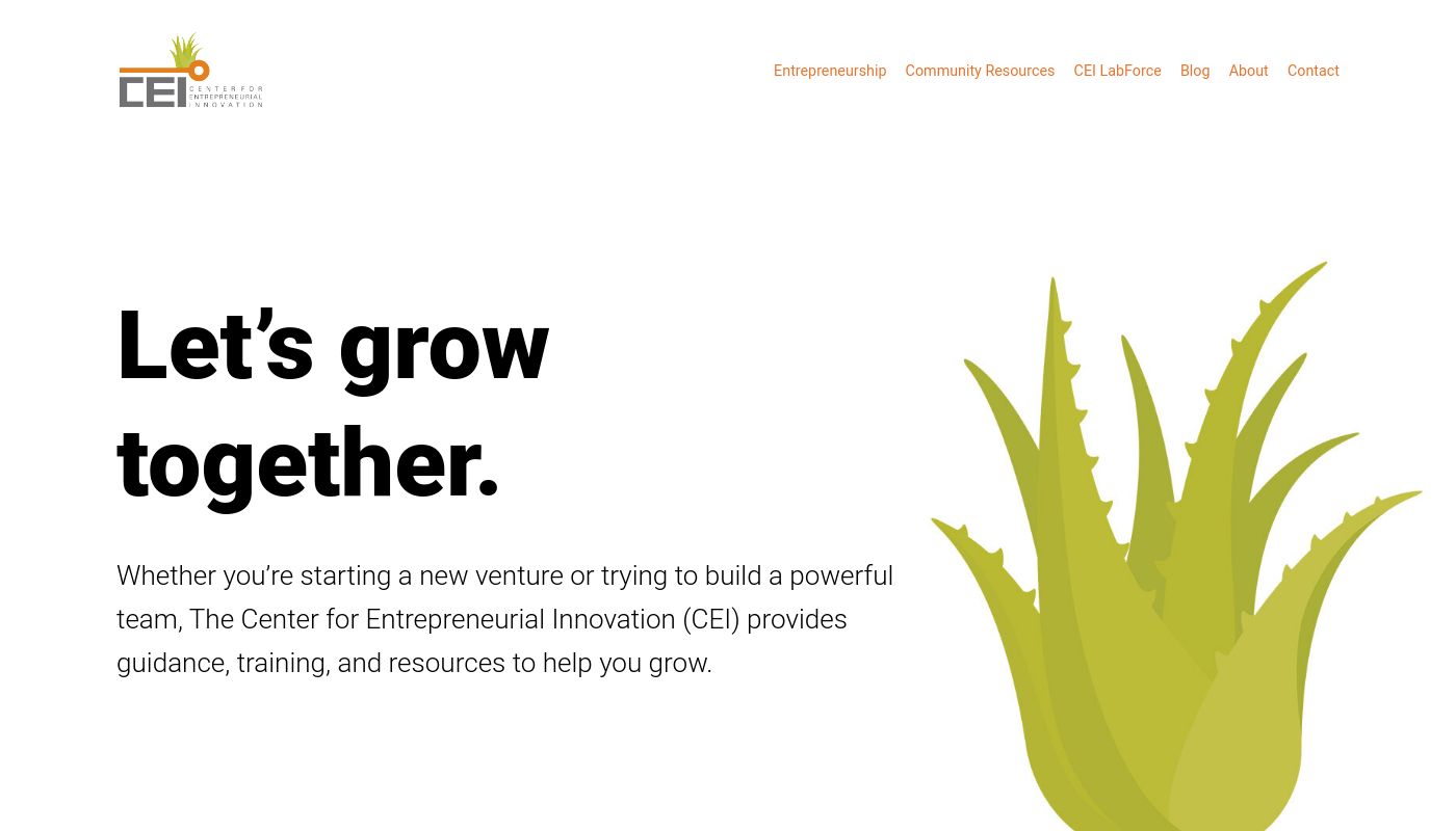 Center for Entrepreneurial Innovation