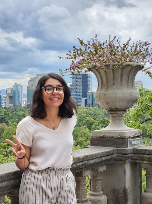 Fanny Hernández Verástegui