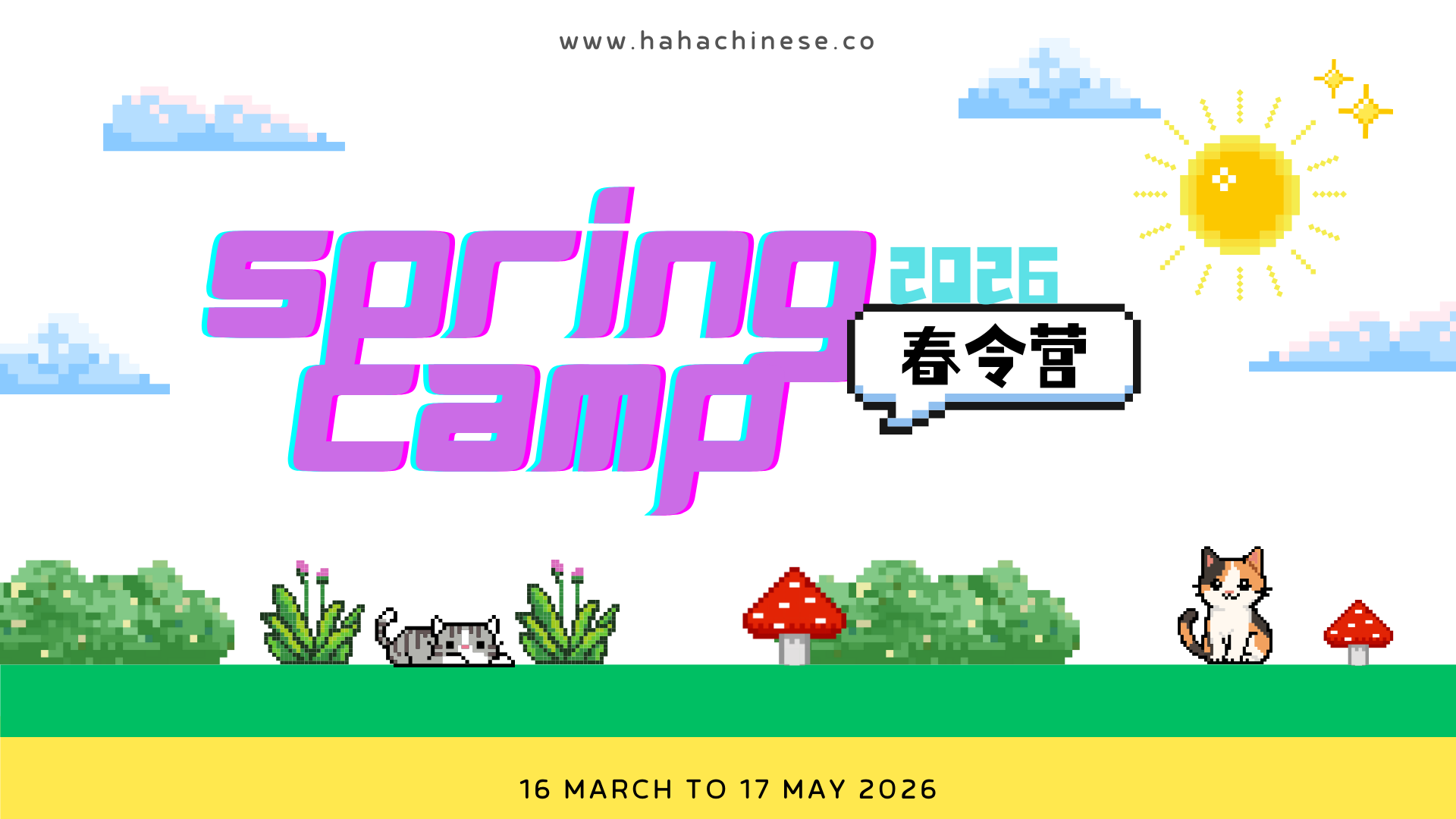 2026 March Spring Camp- Register Here