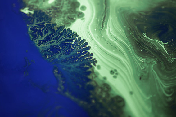 Image d'un corail bleu et vert pour illustrer l'offre DRH en temps partagé.