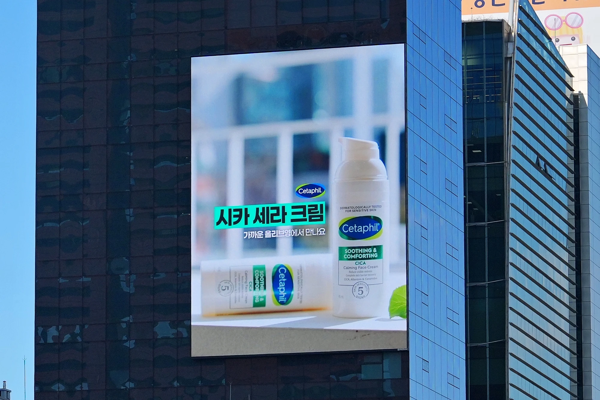 강남대로 DSG빌딩(브라운) · 근거리