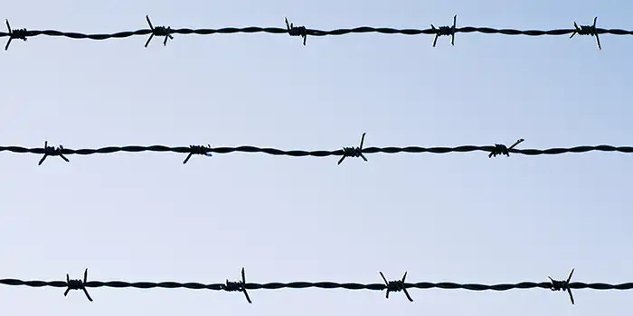 Fängslade författares dag