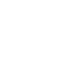 GPS representative icon