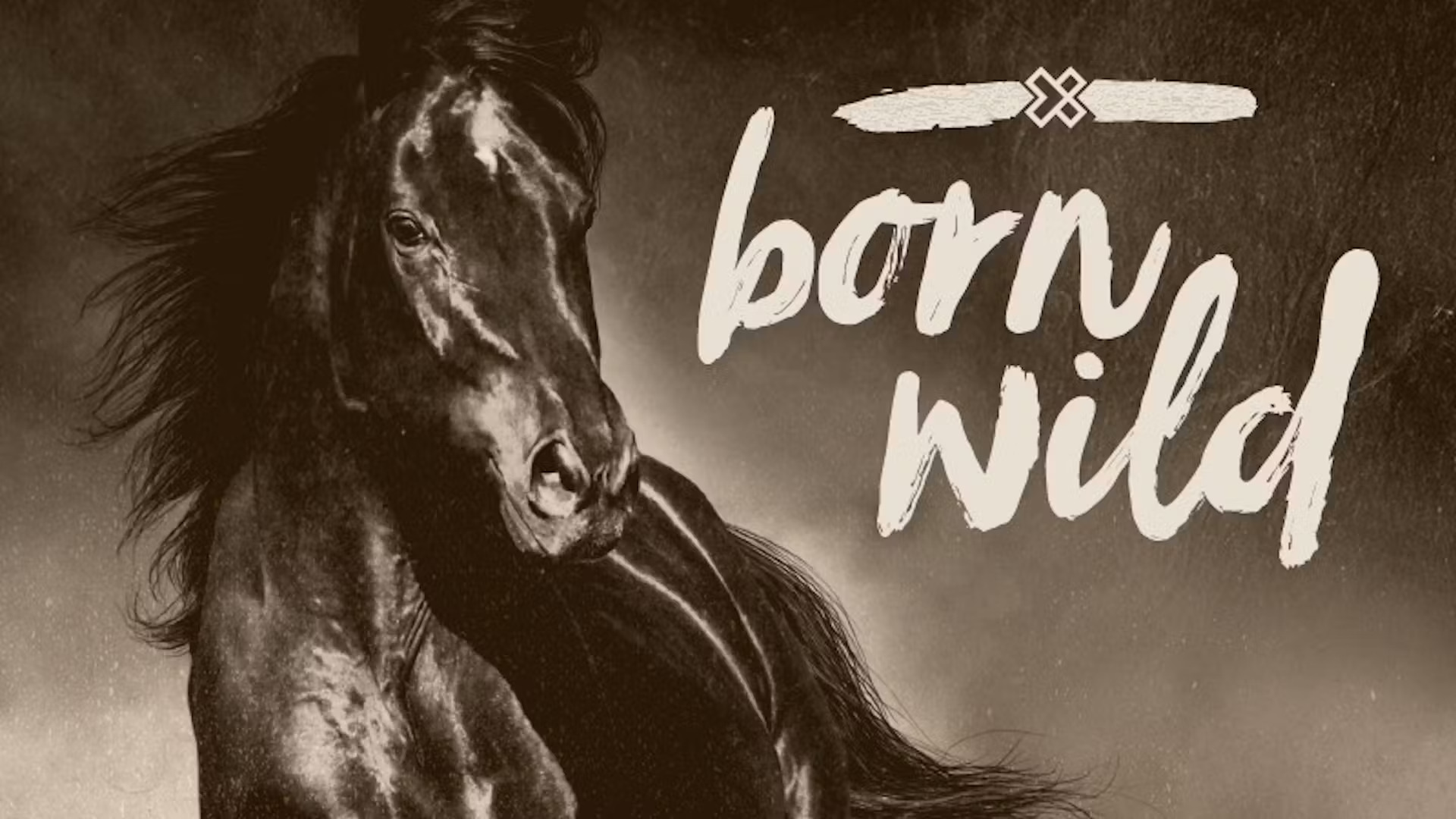 Todd Pierce Training Horse LIVE at Crossroads church