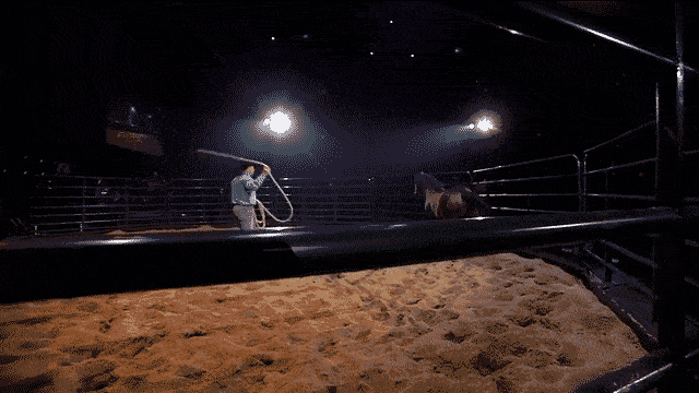 Todd Pierce training Horse LIVE at Crossroads church