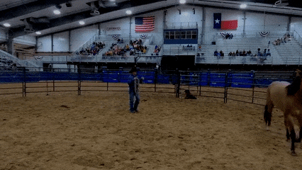 Todd Pierce training Horse LIVE at Taylor Telecom Arena