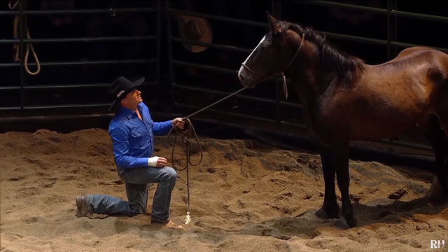 Todd Pierce training Horse LIVE at Crossroads church