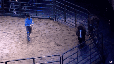 Todd Pierce training Horse LIVE at Crossroads church