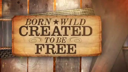 Born Wild Created To Be Free Film