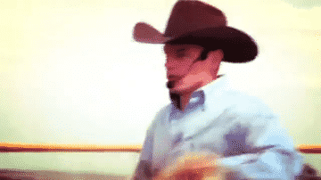 Born Wild Created To Be Free Film