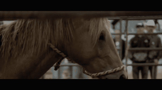 Todd Pierce Relating the fear and anger of a horse to our relationship with God