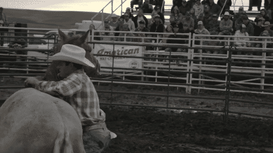 New Mexico Born Wild Presentation