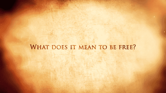 Born Wild Created To Be Free